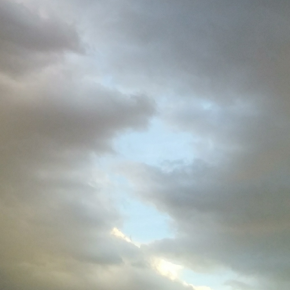 Meet your Posher, Mia